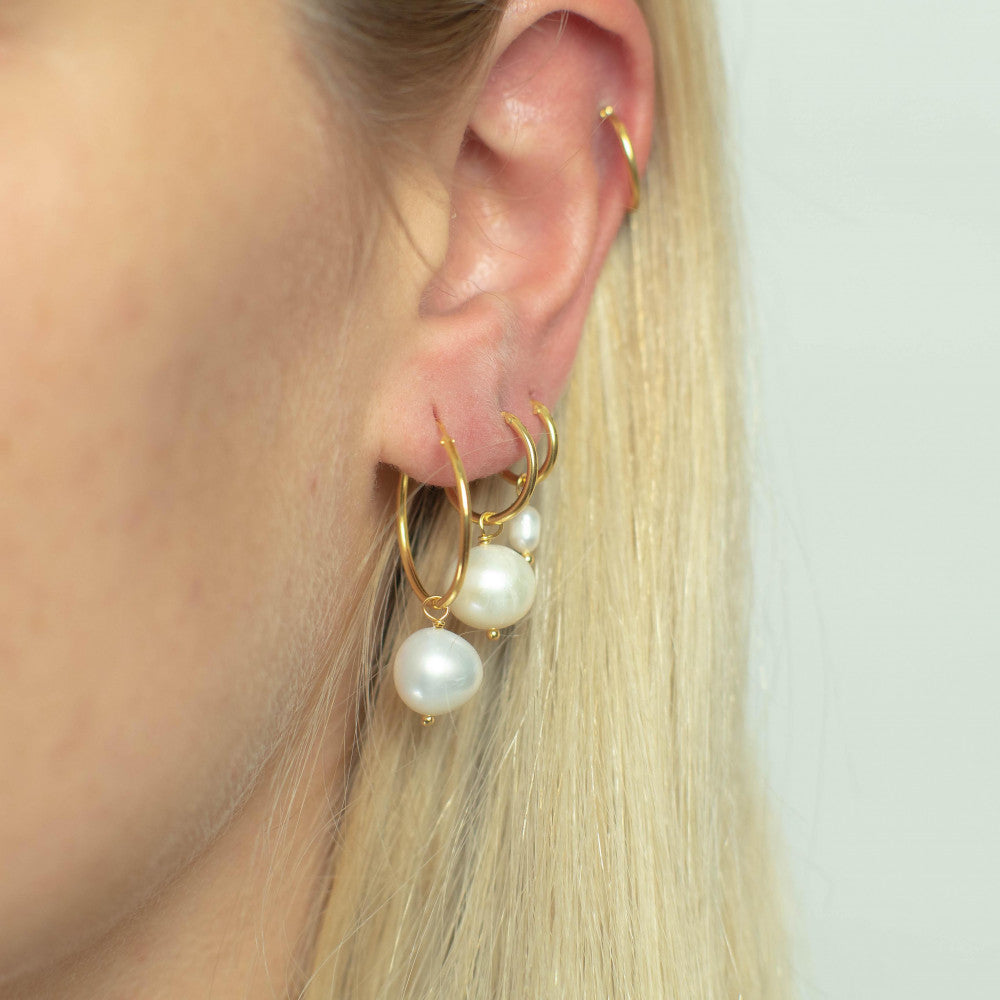 Classic Collection Earrings 