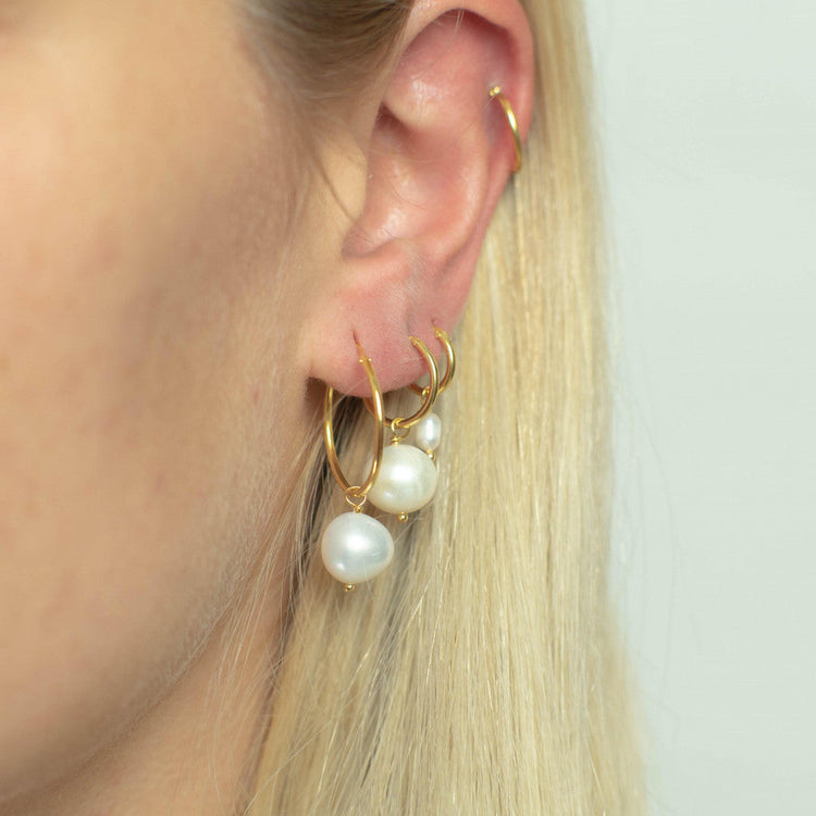 Classic Collection Earrings 