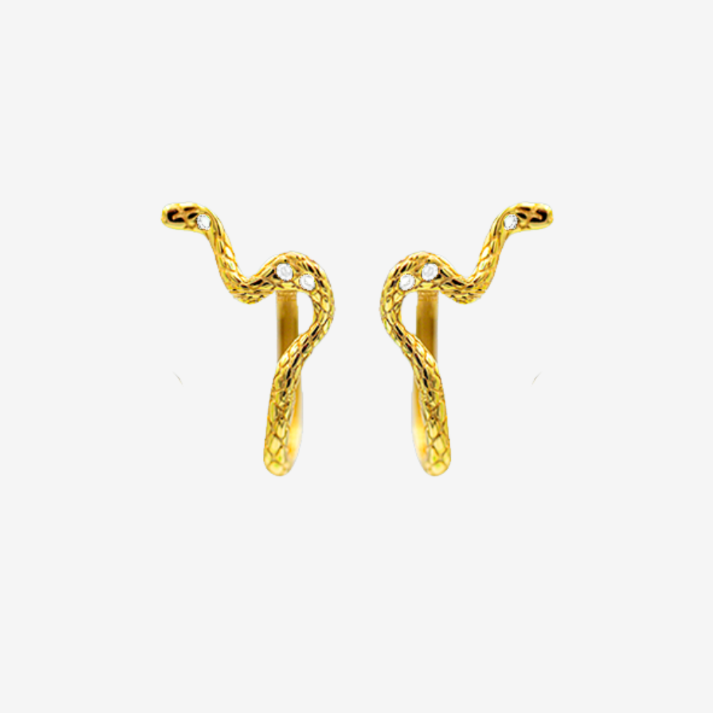 1 x Python Hoop