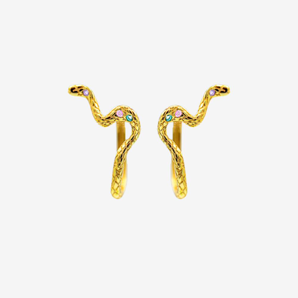 1 x Python Hoop