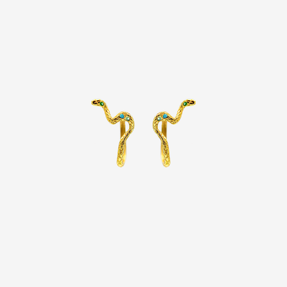 1 x Python Hoop
