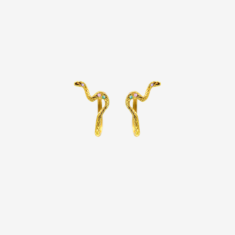 1 x Python Hoop