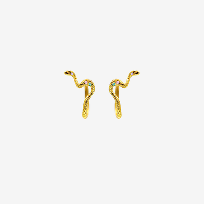 1 x Python Hoop